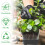 20Pcs Nursery Pot Planters Reusable Silicone Plastic Square Transparent Black 4