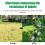 4 Stück Kokosfaserblöcke für Gartenboden 9