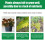 4 Stück Kokosfaserblöcke für Gartenboden 7