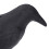 Finto corvo di plastica - corvo nero, palo da giardino 9