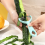 Éplucheur à kiwi pour éplucher facilement les fruits en cuisine 2