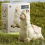 (3 τεμάχια) Παιχνίδι νερού με λάμα που φτύνει, διαδραστικός ψεκαστήρας νερού με α 4