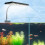 Clip-On-Aquariumlicht USB LED dimmbar 180x265mm 9