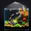 Clip-On-Aquariumlicht USB LED dimmbar 180x265mm 13