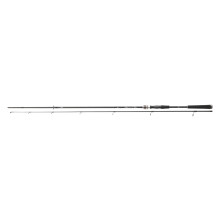 DAIWA Exceler Spin 802M, 2 Sections, 2.40m, 10-40g, Spinning Fishing Rod