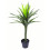 Leaf Leaf LEAF-7010 90cm (3ft) Large Artificial Spiky Tree Plant Realistic, Yukka Green 2