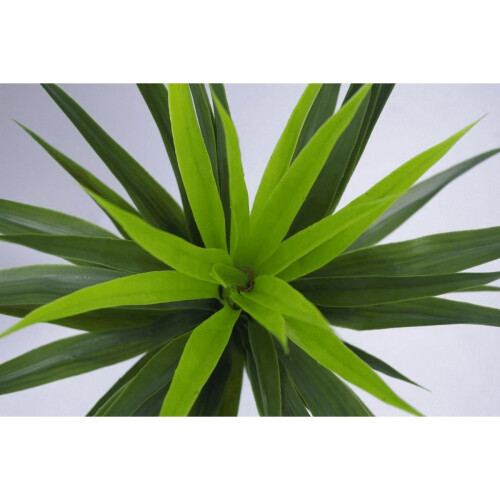 Leaf Leaf LEAF-7010 90cm (3ft) Large Artificial Spiky Tree Plant Realistic, Yukka Green 2