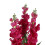 Leaf Leaf LEAF-7241 90cm Artificial Cymbidium Orchid Plant-Extra Large Black Plastic Pot Design UK, White 4