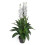 Leaf Leaf LEAF-7241 90cm Artificial Cymbidium Orchid Plant-Extra Large Black Plastic Pot Design UK, White 1