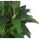 Leaf Leaf LEAF-7076 90cm Artificial Cymbidium Orchid Plant-Extra Large Black Plastic Pot, Dark Pink 3