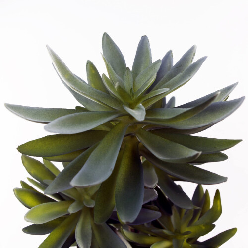 Leaf Leaf Design UK Artificial Yukka Tropical House Plant, 60 cm 1