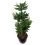 Leaf Leaf Design UK Artificial Yukka Tropical House Plant, 60 cm 5