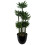Leaf Leaf Design UK Artificial Yukka Tropical House Plant, 60 cm 1