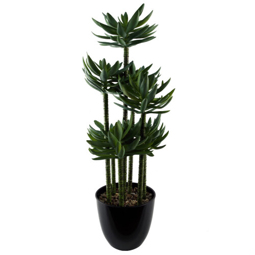 Leaf Leaf Design UK Artificial Yukka Tropical House Plant, 60 cm