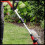 Einhell EINHELL Electric Grass Trimmer, Adjustable and User-Friendly, Red 4