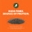 by Amazon Chia Seeds, 4 x 350 g (1400g Total) 4