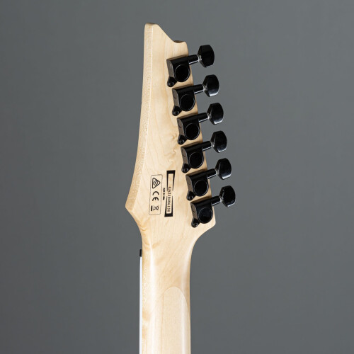 Ibanez GRG121DX-BKF Black Flat - Electric Guitar 2