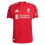 Adidas (S) 2025-2026 Liverpool Authentic Home Shirt 1
