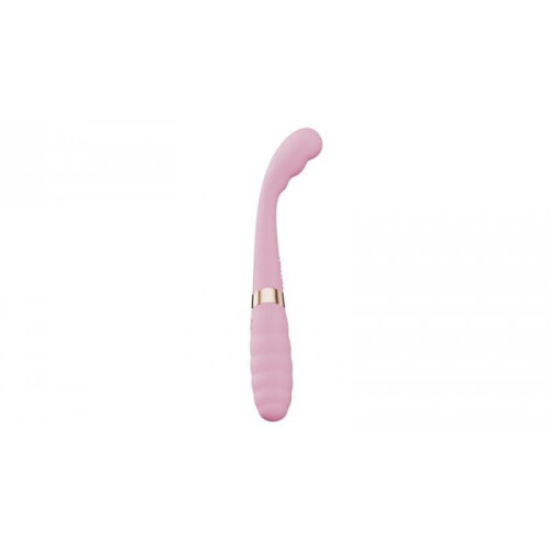 Vibrator Dual Vibration G Spot Stimulator, pink 1