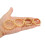 Penis Ring Schedel Gouden Ring, 30 mm 3