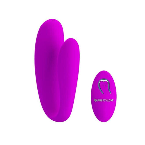 Pair vibrator with remote control