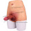 Dildo realistico + pantaloni 4