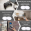60Pcs NFC TagsNtag 215 NFC Sticker Chip NFC Tag Rewritable NFC Card 5