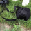 SLR Camera Bag Photography Bag Adjustable for D40 1