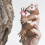 A Squirrel Finger Puppet Set, Animals Puppet Show Theater Props 3