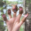 A Squirrel Finger Puppet Set, Animals Puppet Show Theater Props 6