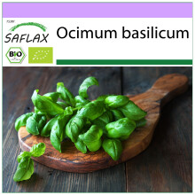 SAFLAX - Organic - Basil Genovese - 800 seeds - Ocimum basilicum