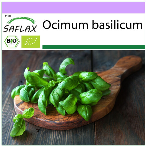SAFLAX  - Basilikum Genovese - Ocimum - 800 Samen