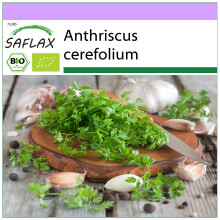 SAFLAX - BIO - Cerfoglio - 800 semi - Anthriscus