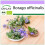 SAFLAX  - Borretsch - Borago - 40 Samen 1