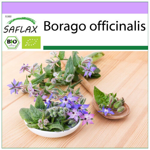 SAFLAX  - Borretsch - Borago - 40 Samen