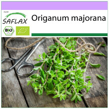SAFLAX - Majoran - Origanum - 700 Samen