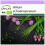 SAFLAX  - Schnittlauch - Allium - 250 Samen 1