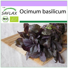 SAFLAX - Organic - Basil Red - 400 seeds - Ocimum basilicum