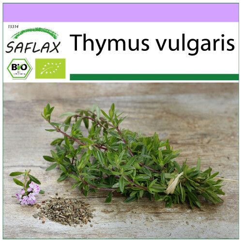 SAFLAX  - Thymian - Thymus - 800 Samen