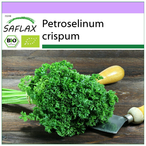SAFLAX  - BIO - Persil frisé - 800 graines - Petroselinum
