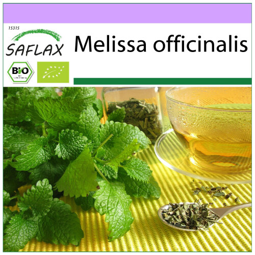 SAFLAX  - Zitronenmelisse - Melissa - 1000 Samen