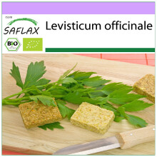 SAFLAX - BIO - Levistico o sedano di monte - 100 semi - Levisticum