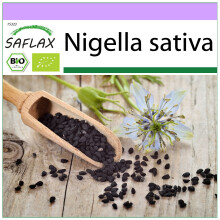 SAFLAX - Schwarzkümmel - Nigella - 300 Samen