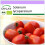 SAFLAX  - Tomate - Borghese - Solanum - 10 Samen 1