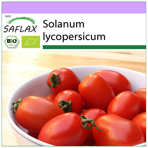 SAFLAX  - Tomate - Borghese - Solanum - 10 Samen