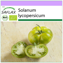 SAFLAX - BIO - Pomodoro - Green Zebra - 10 semi - Solanum