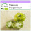 SAFLAX  - Tomate - Green Zebra - Solanum - 10 Samen 1