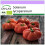 SAFLAX  - Tomate - Marmande - Solanum - 10 Samen 1