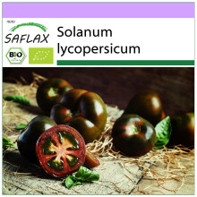 SAFLAX - BIO - Pomodoro - Black cherry - 10 semi - Solanum