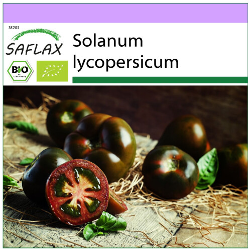 SAFLAX  - Tomate - Black Cherry - Solanum - 10 Samen